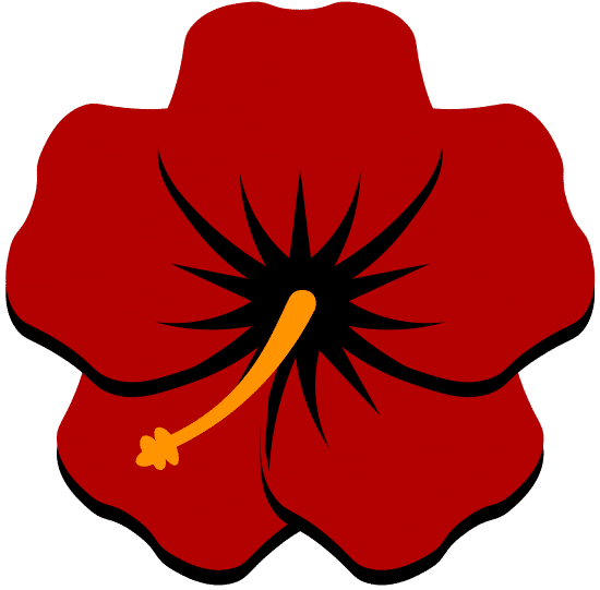 Floral Hawaiian Shirts