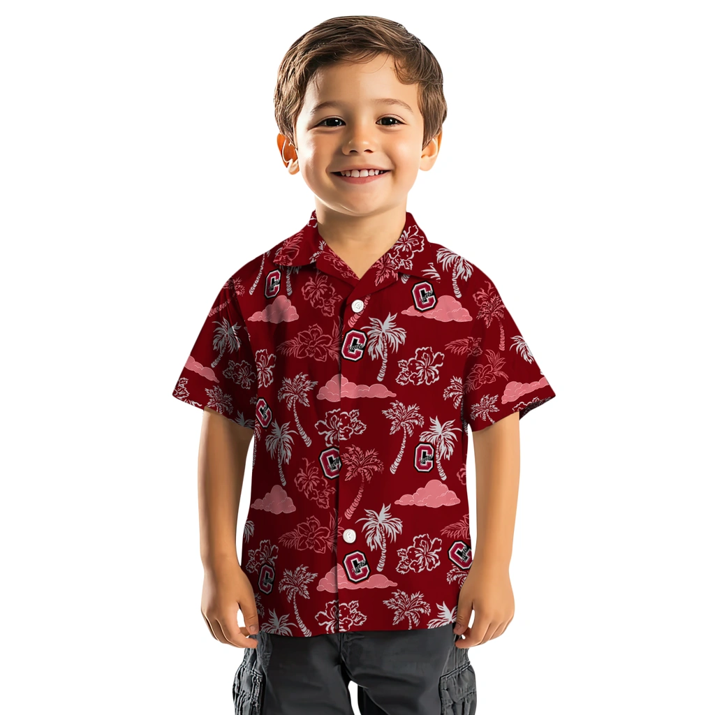 Colgate Raiders Hawaiian Shirt - Palm And Clouds colgate raiders palm and clouds maroon hawaiian shirts top rated